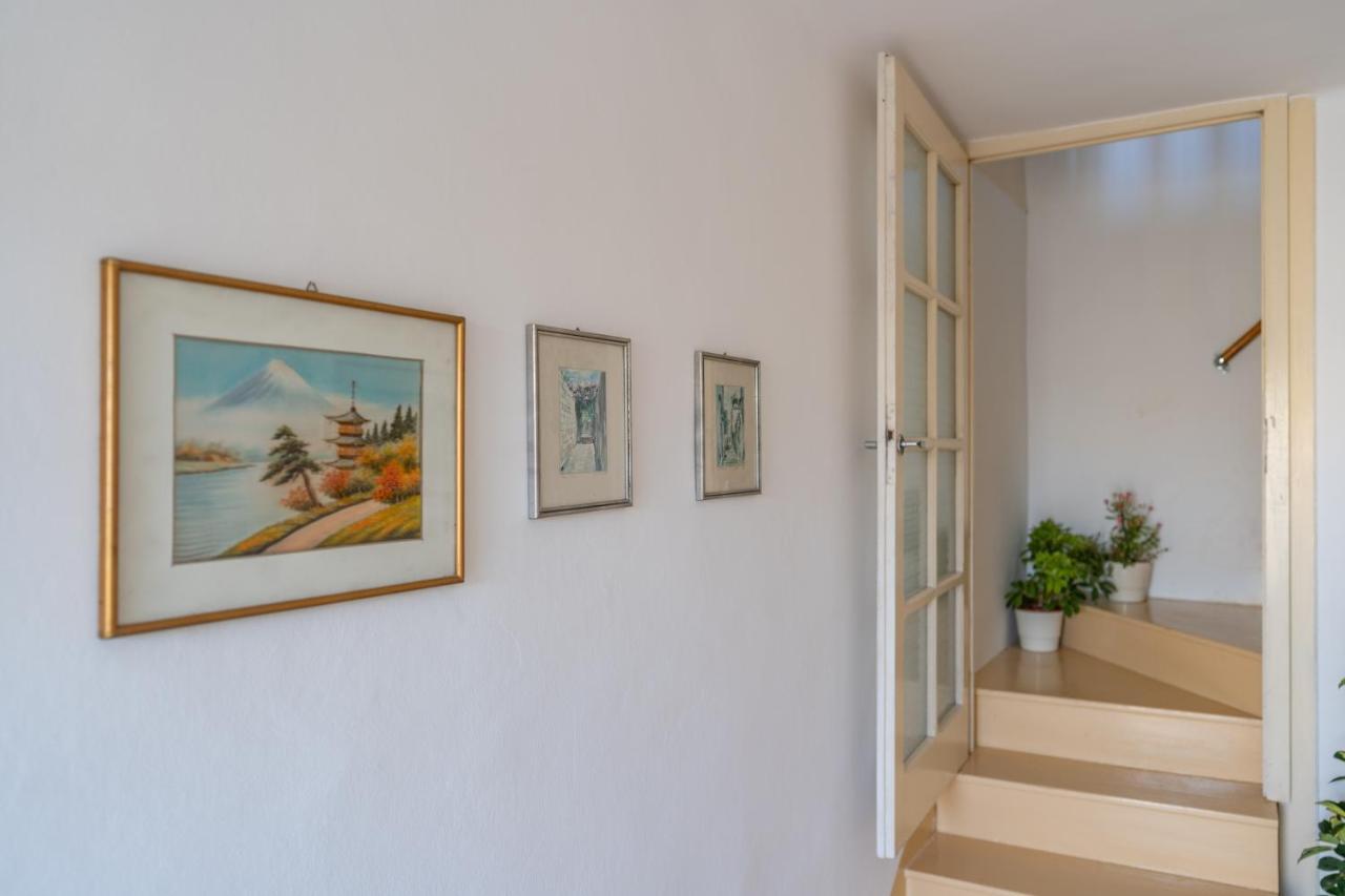 Mazza House Cavtat With Sea View-Center Lejlighed Eksteriør billede